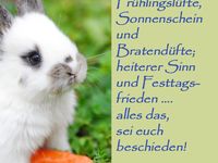 Frohe Ostern 2026: Hilarious Images & Sayings for a Stress-Free Celebration